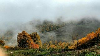 جنگل ابر - اقامتگاه بوم گردی اسپیگیره - روستای ابر - شاهرود - سمنان